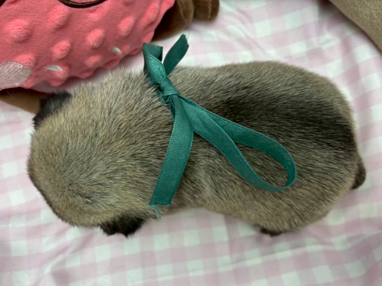 赤ちゃん写真2-3