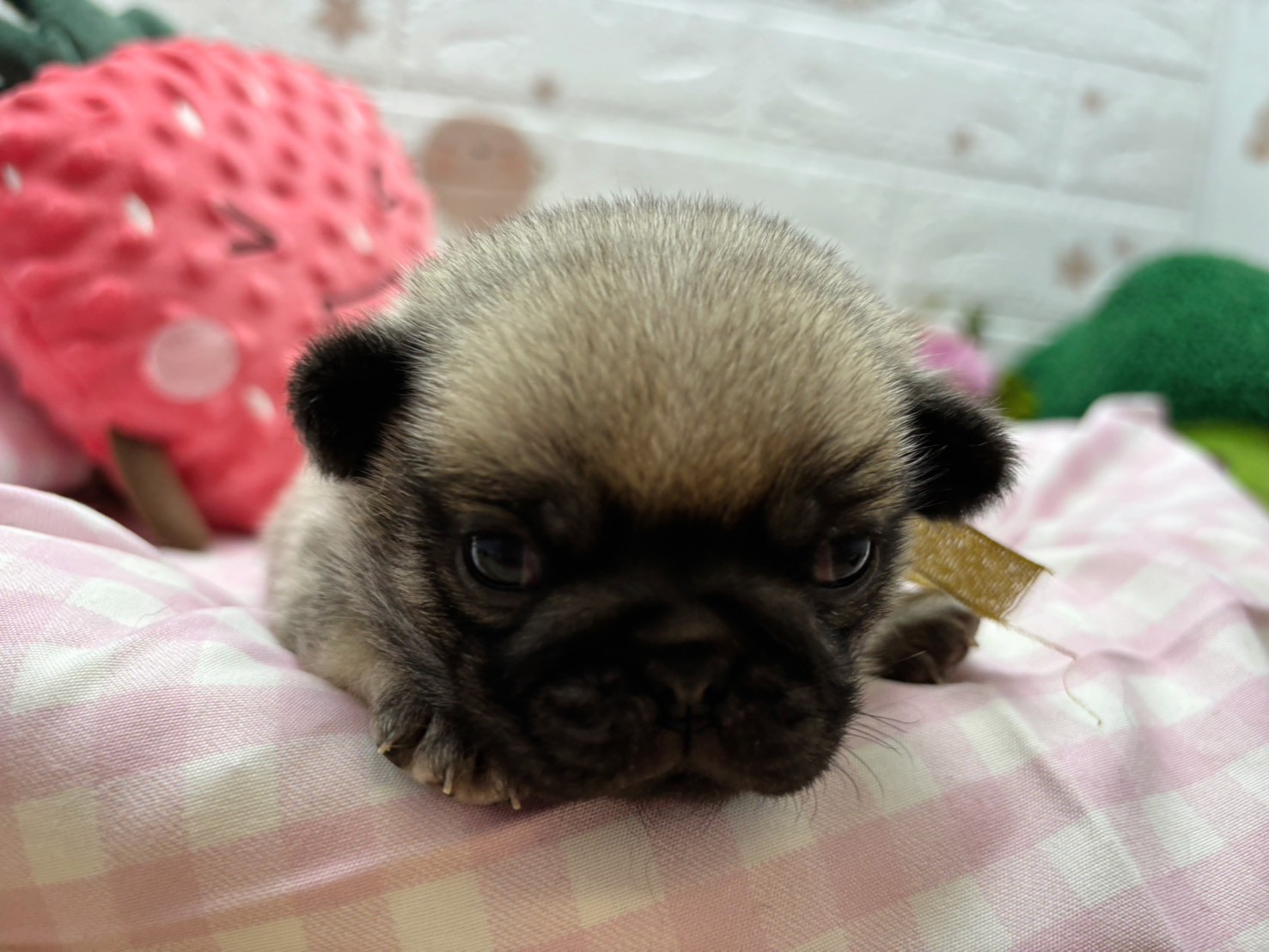 赤ちゃん写真2-1