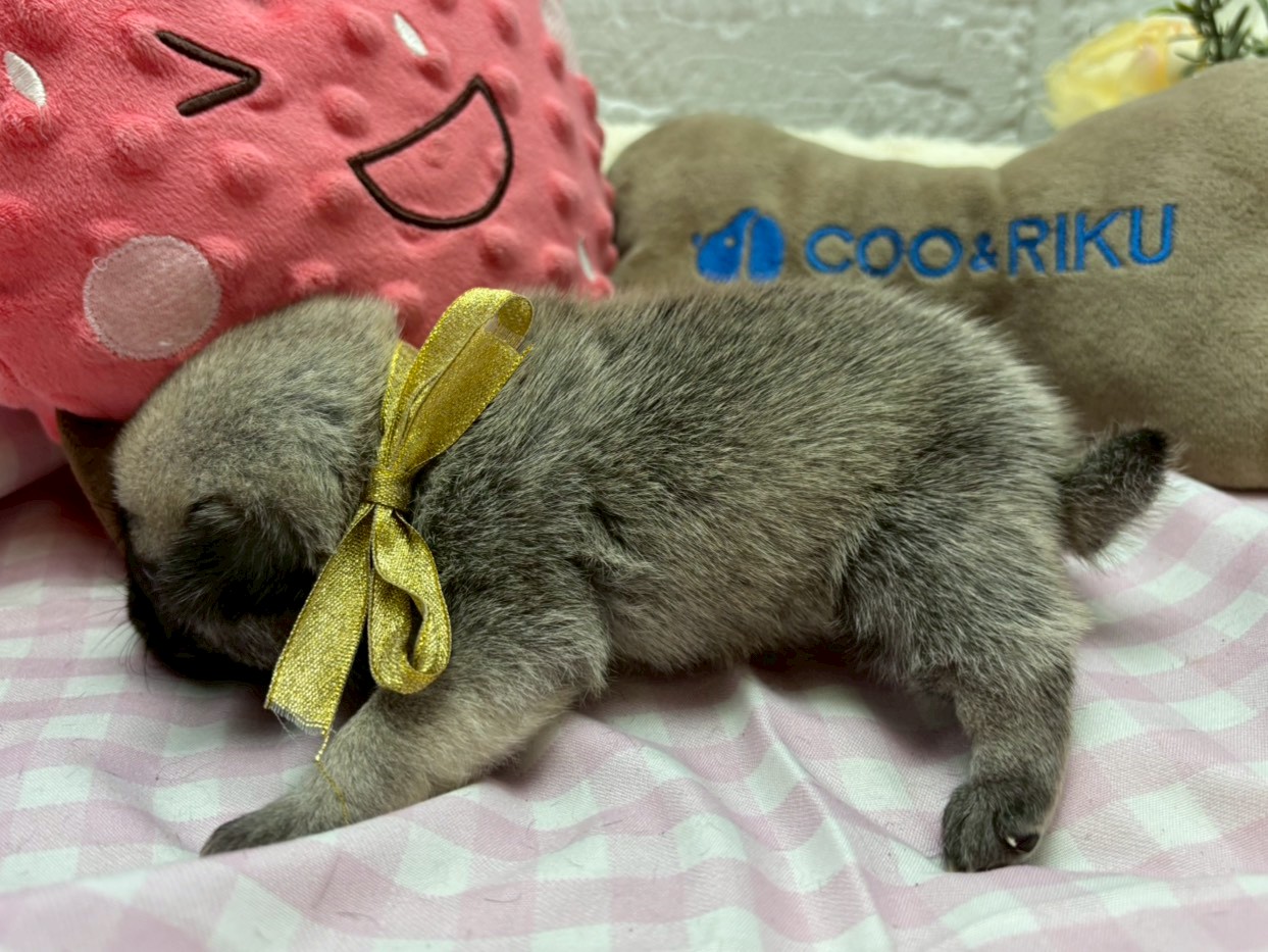 赤ちゃん写真2-2