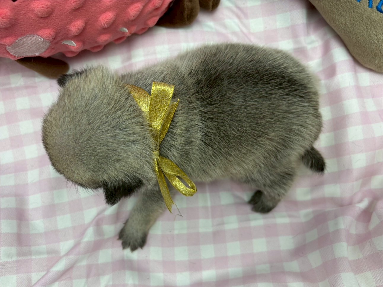 赤ちゃん写真2-3