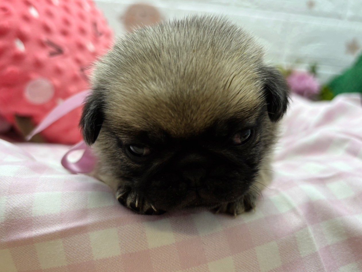 赤ちゃん写真2-1