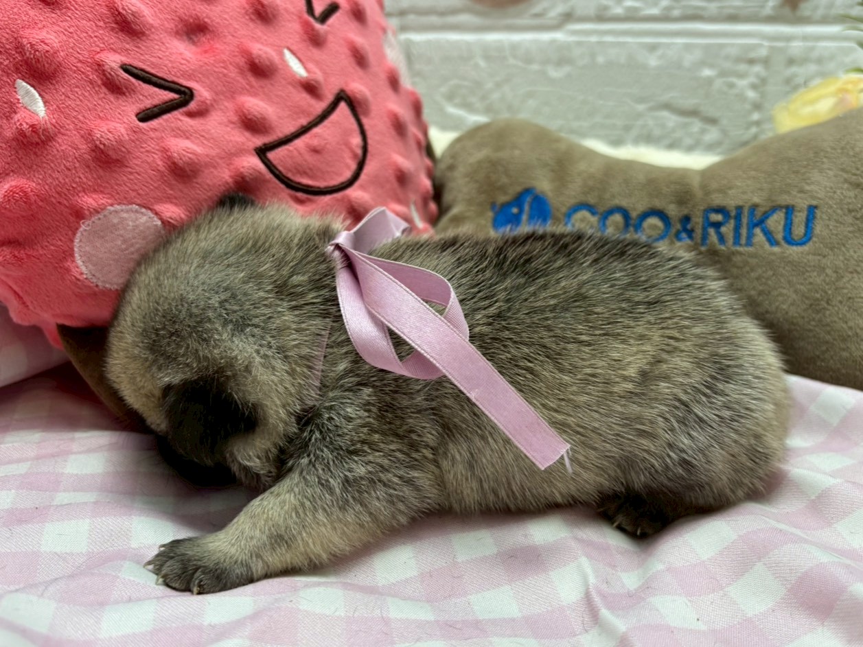 赤ちゃん写真2-2