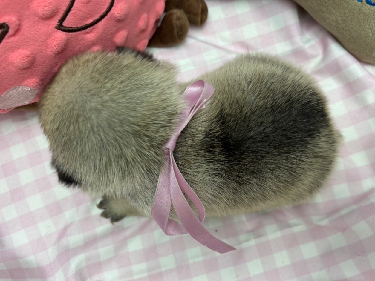 赤ちゃん写真2-3
