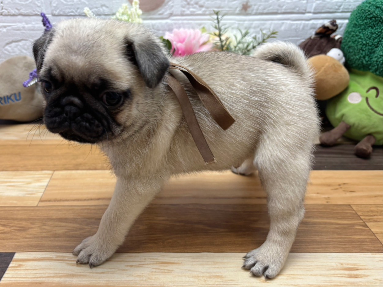 赤ちゃん写真3-2