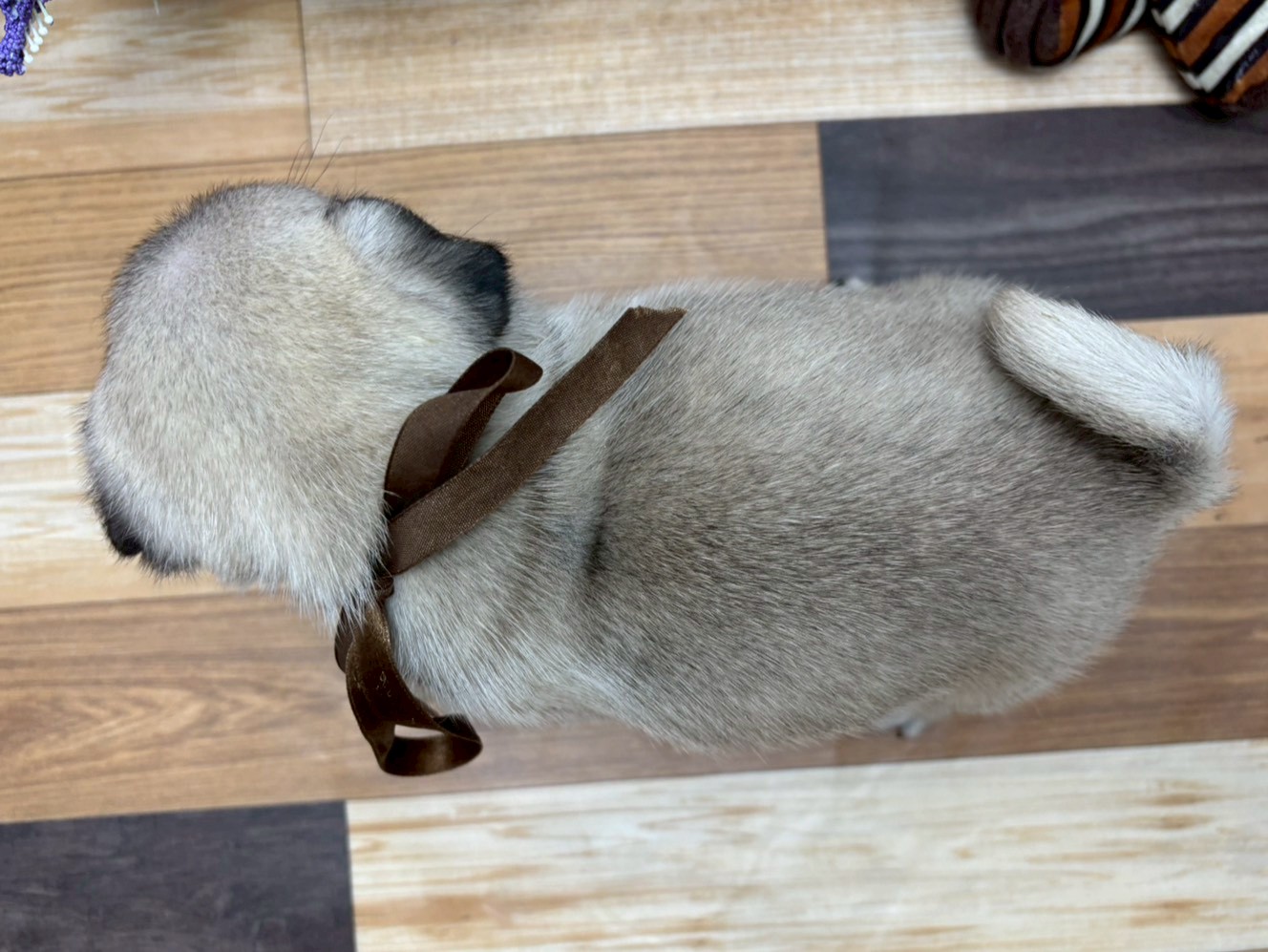 赤ちゃん写真3-3