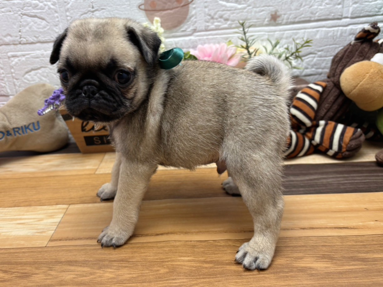 赤ちゃん写真3-2