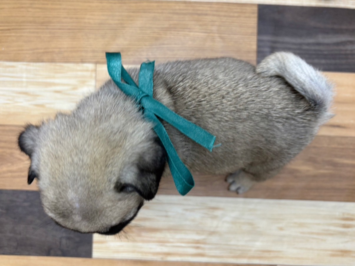 赤ちゃん写真3-3