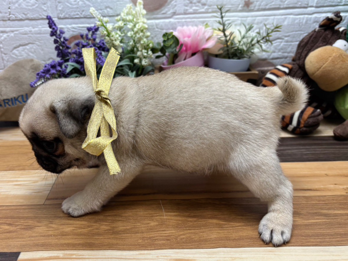 赤ちゃん写真3-2