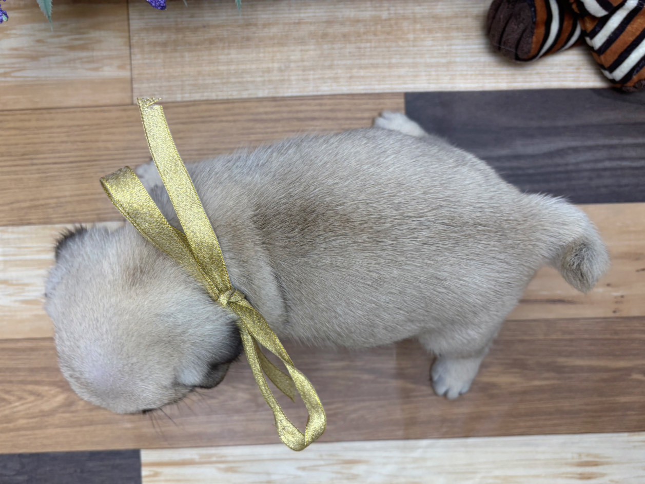 赤ちゃん写真3-3