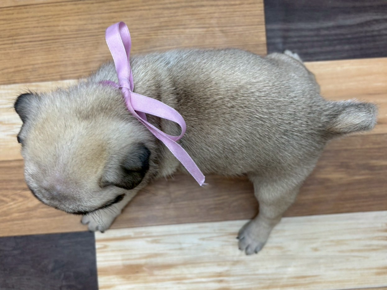 赤ちゃん写真3-2