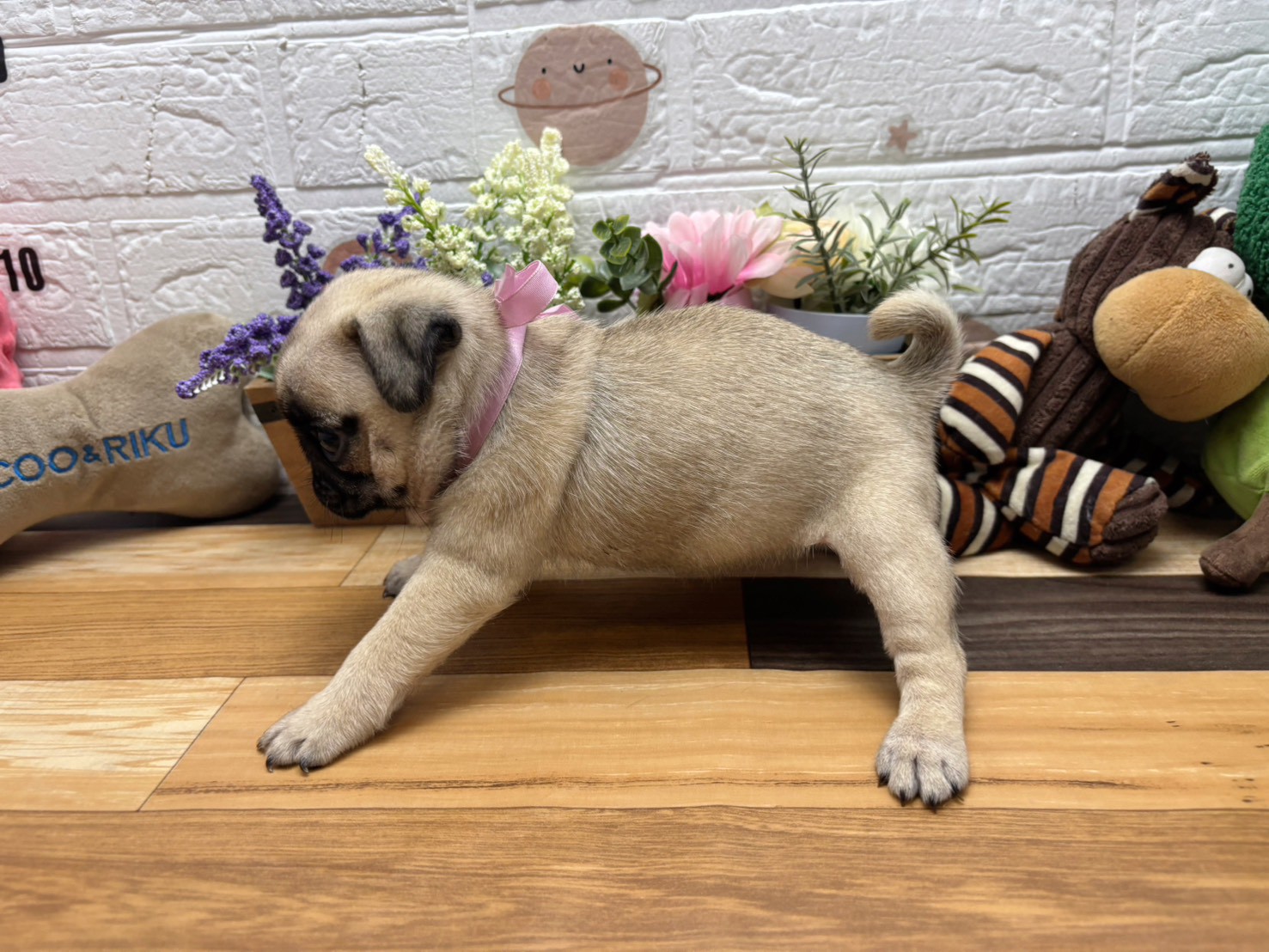 赤ちゃん写真3-3