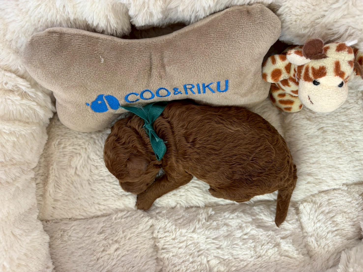 赤ちゃん写真1-3