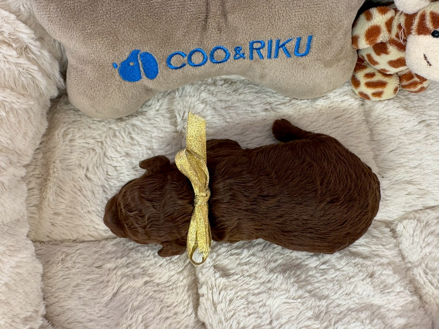 赤ちゃん写真1-3