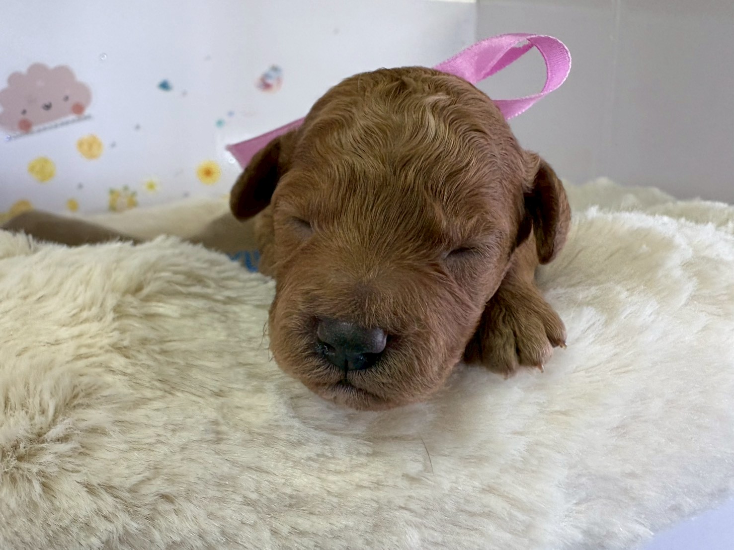 赤ちゃん写真1-1