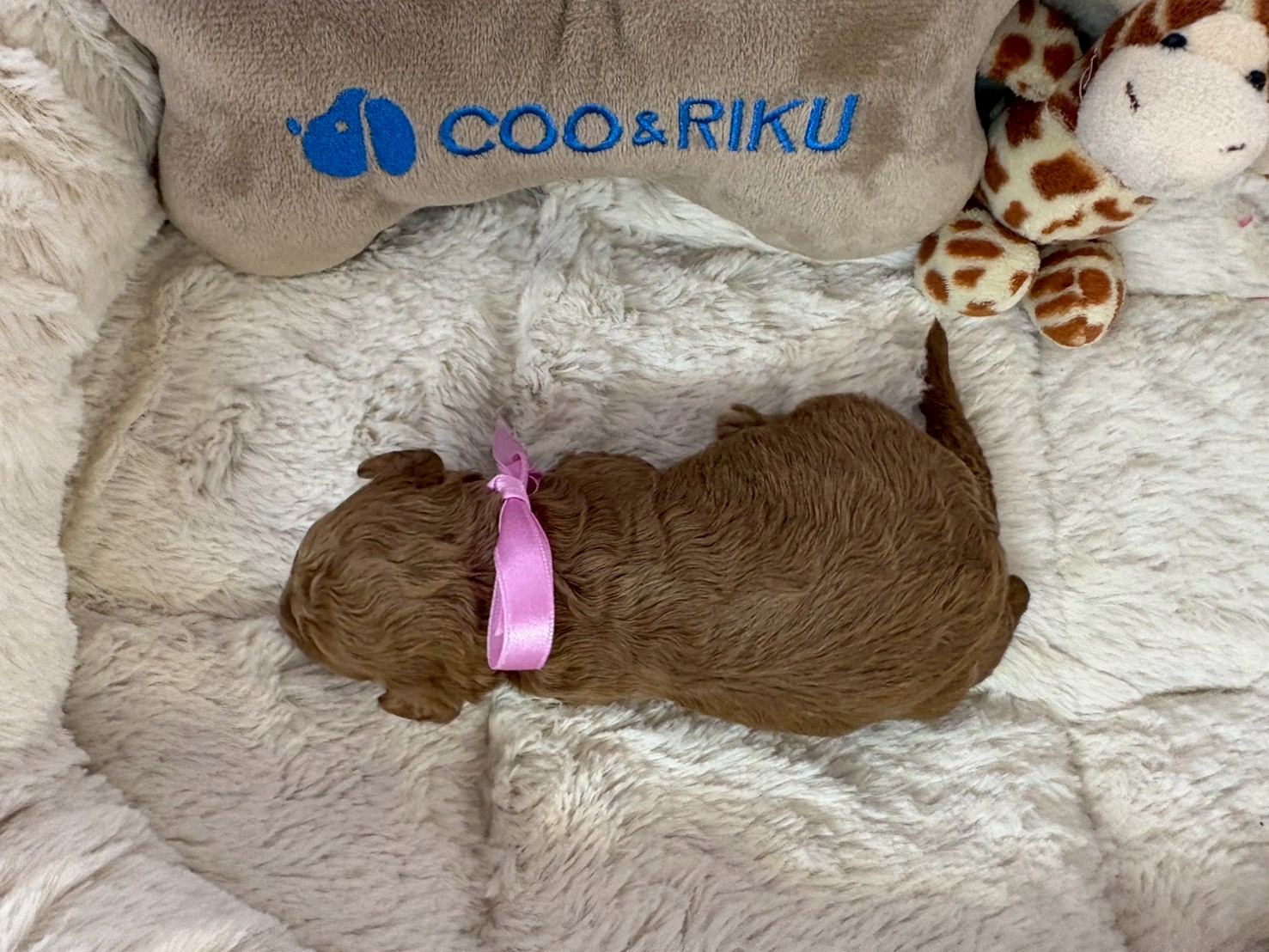 赤ちゃん写真1-3