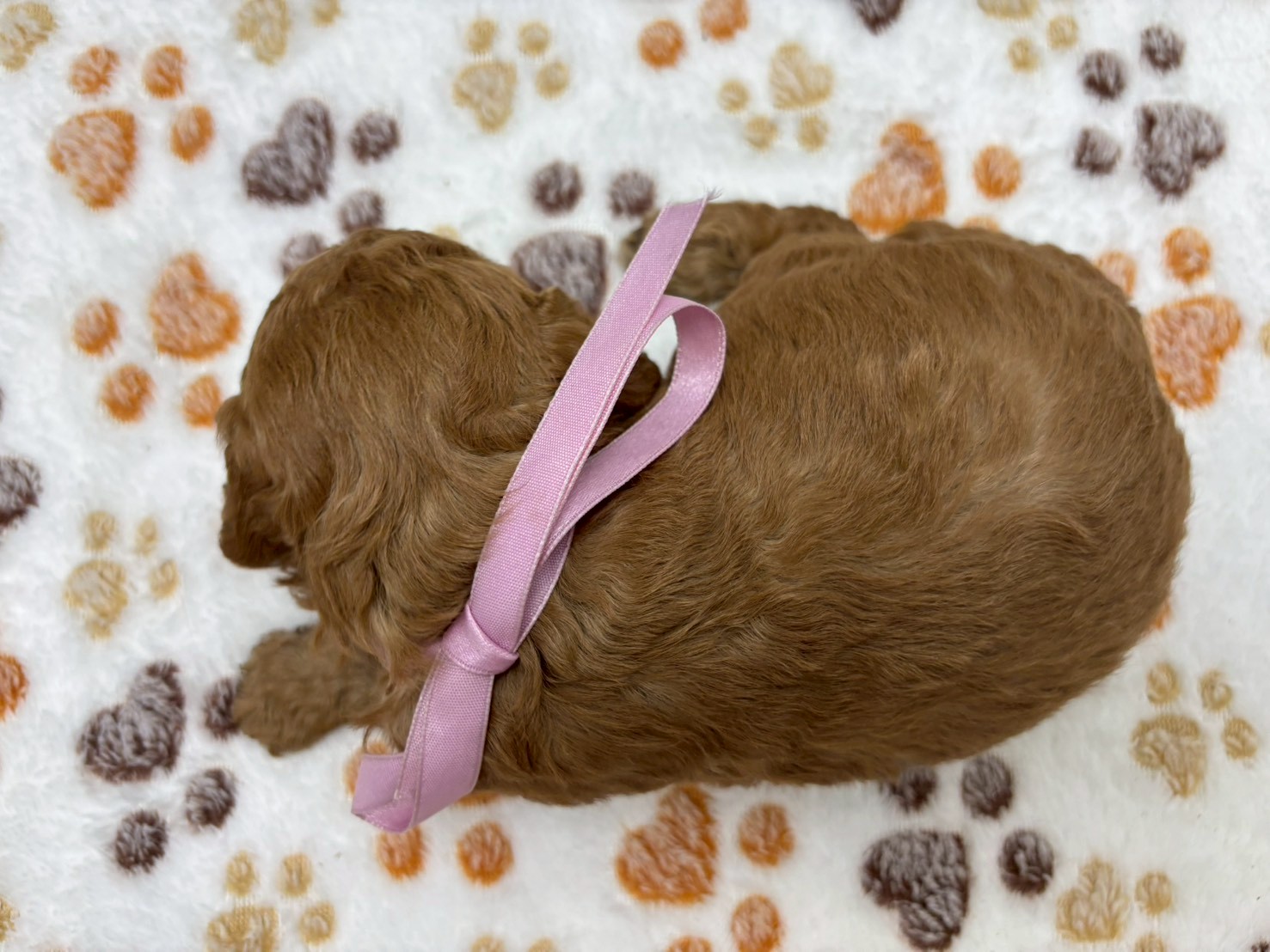 赤ちゃん写真2-3