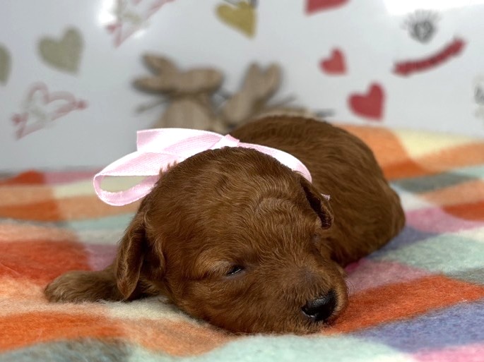 赤ちゃん写真1-1