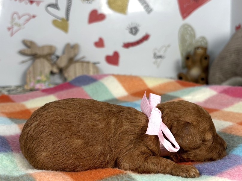 赤ちゃん写真1-2