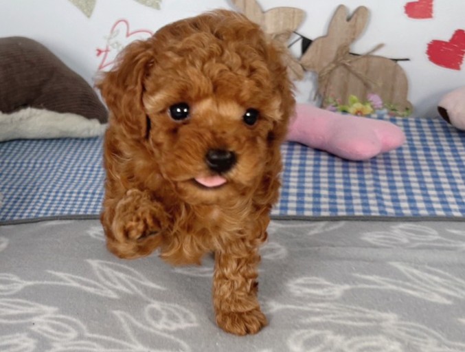 赤ちゃん写真2-1
