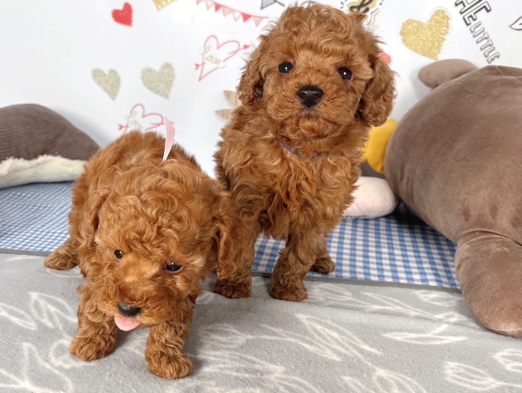 赤ちゃん写真2-3