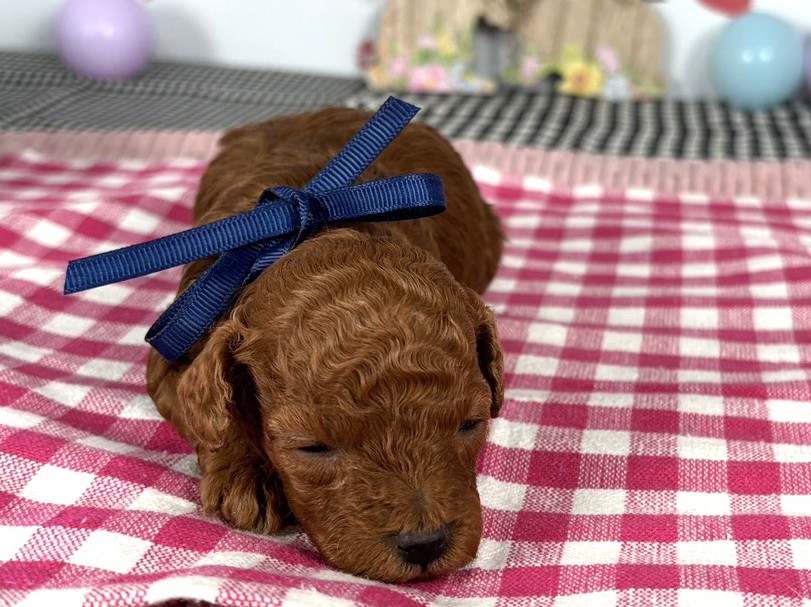 赤ちゃん写真1-1