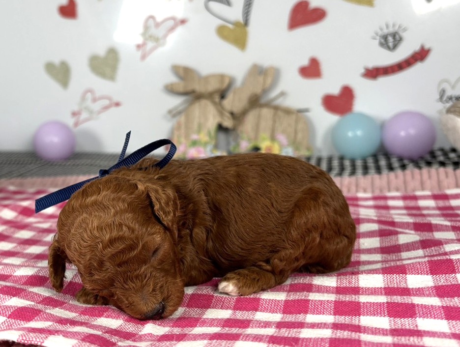 赤ちゃん写真1-2