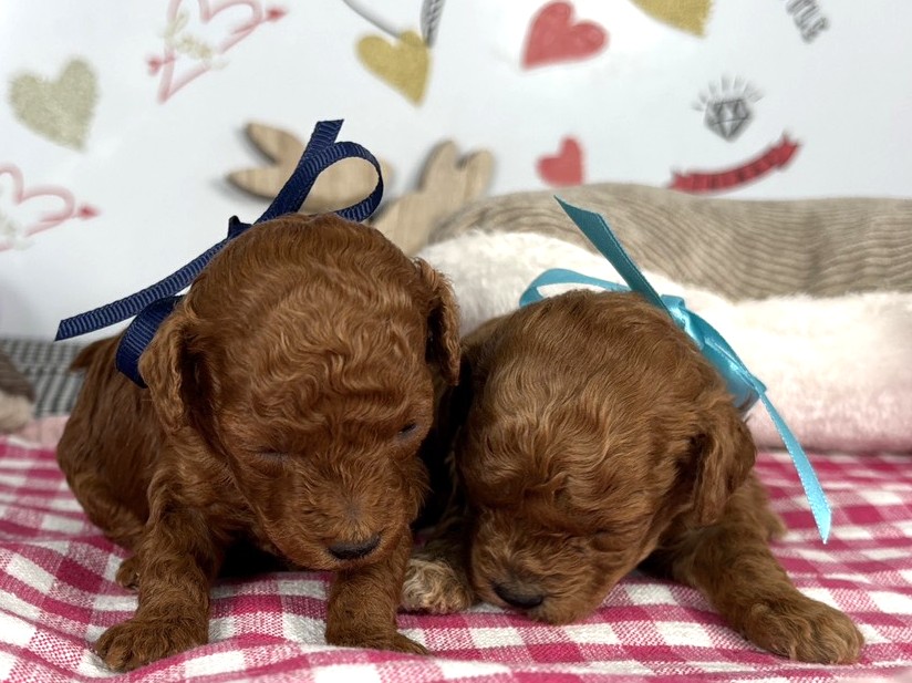 赤ちゃん写真1-3