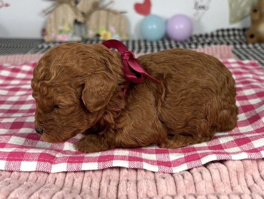 赤ちゃん写真1-2