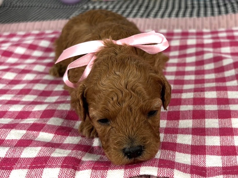 赤ちゃん写真1-1