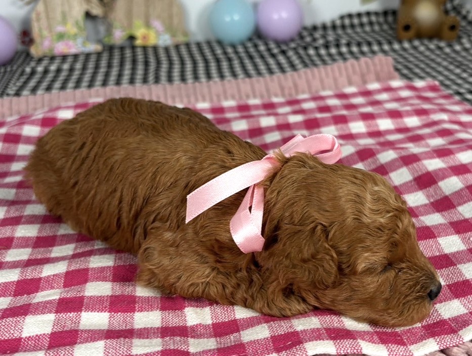 赤ちゃん写真1-2