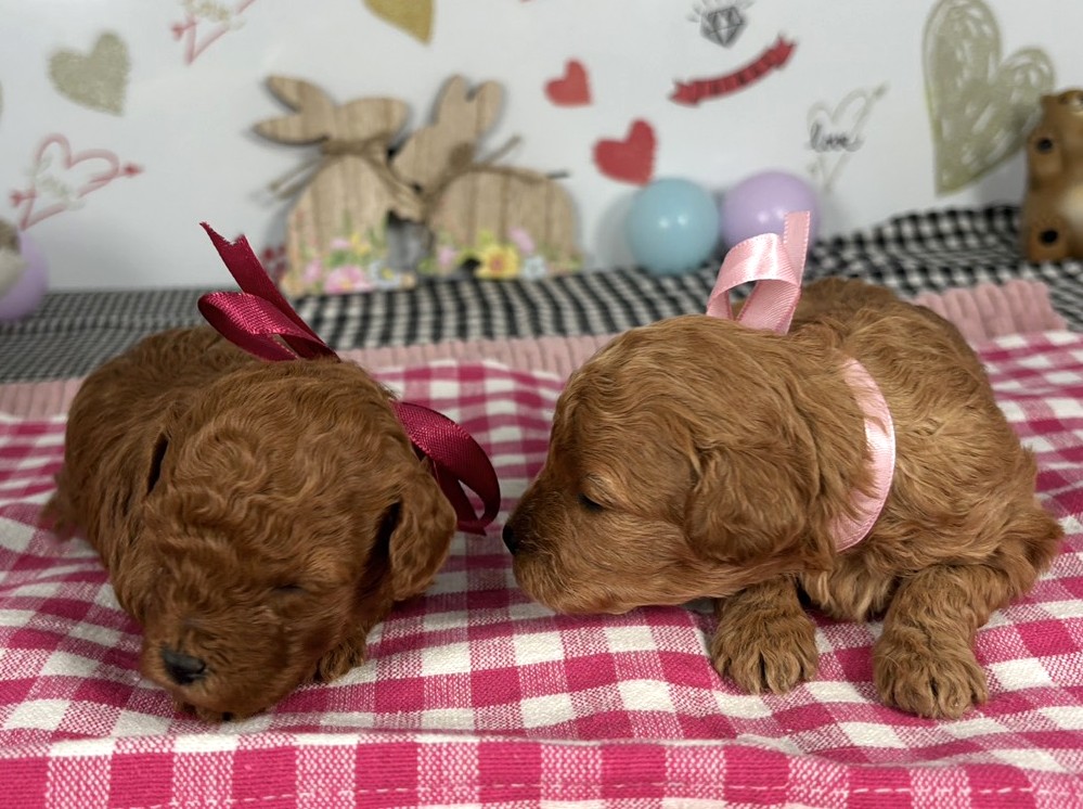 赤ちゃん写真1-3