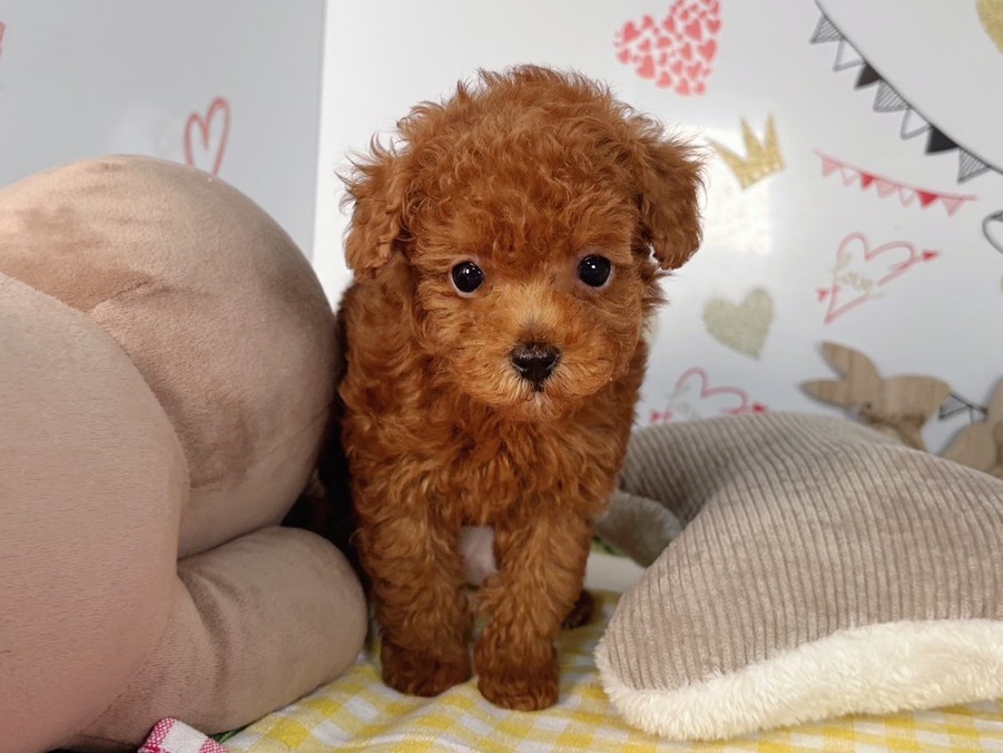 赤ちゃん写真2-1