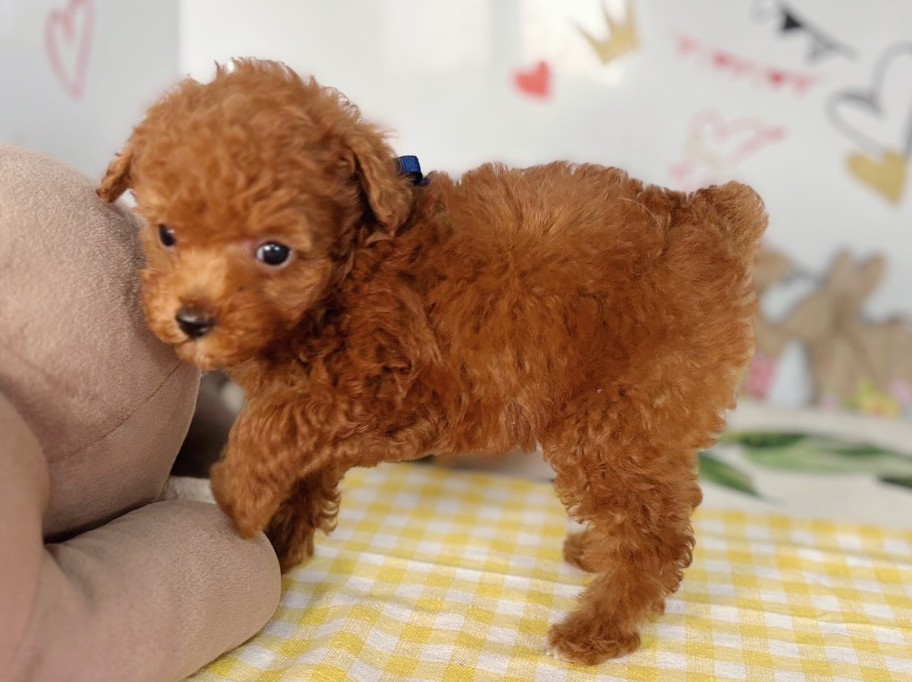 赤ちゃん写真2-2