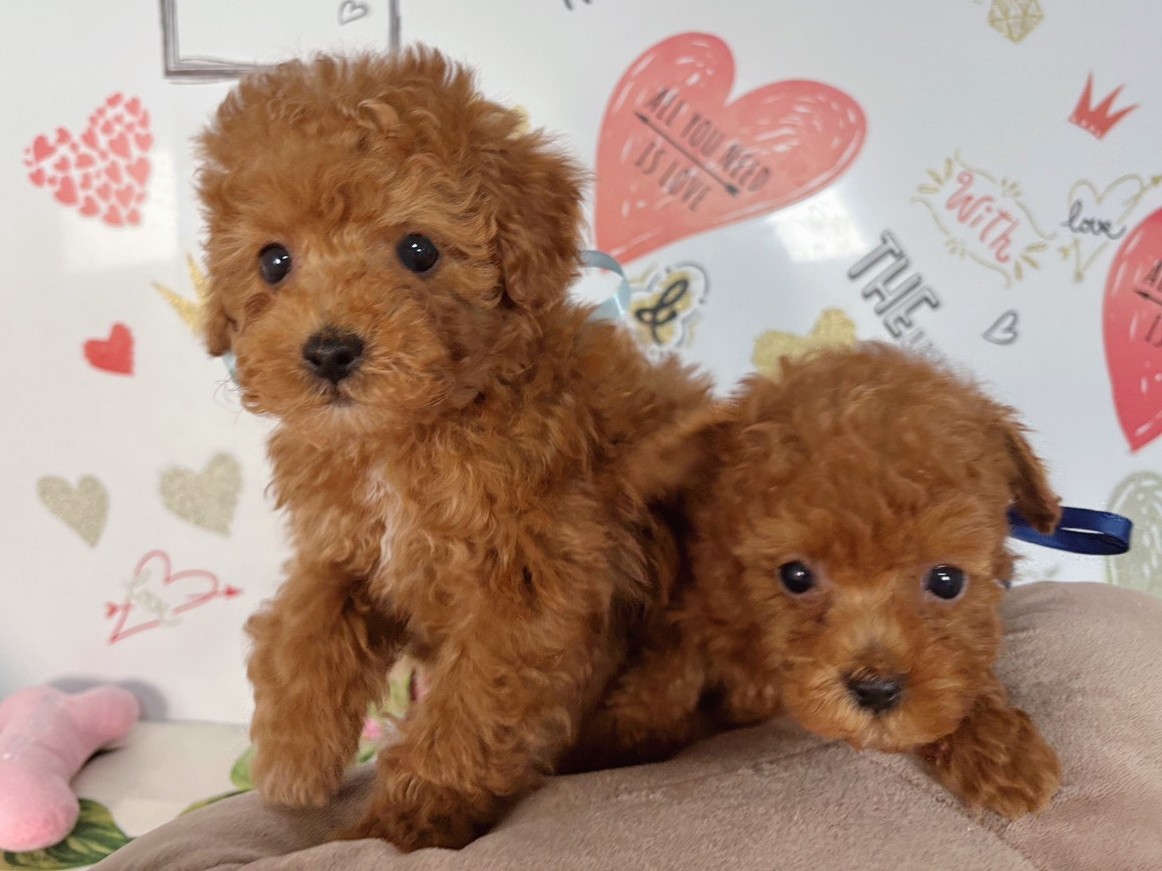 赤ちゃん写真2-3