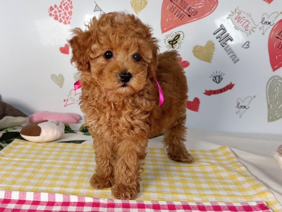 赤ちゃん写真2-1