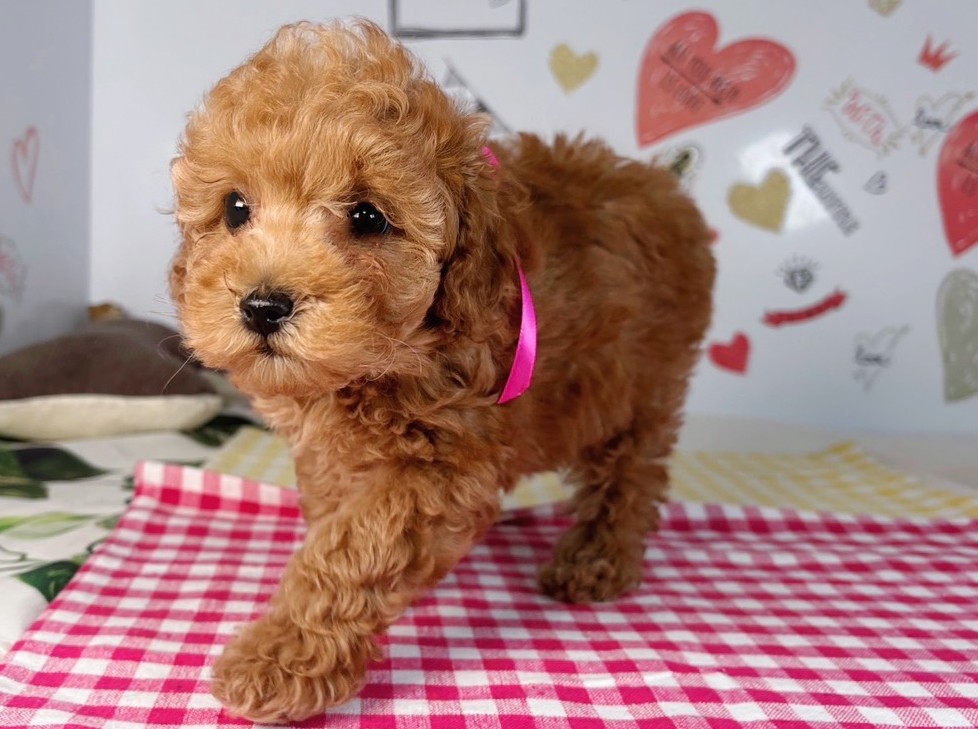 赤ちゃん写真2-2