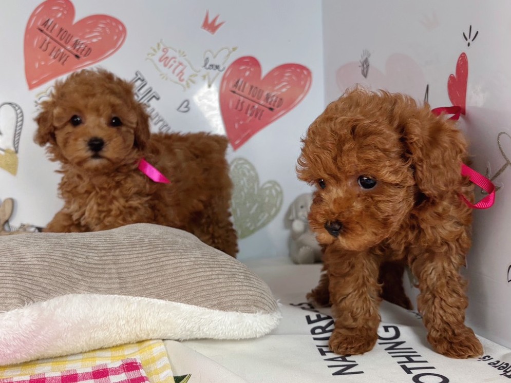 赤ちゃん写真2-3