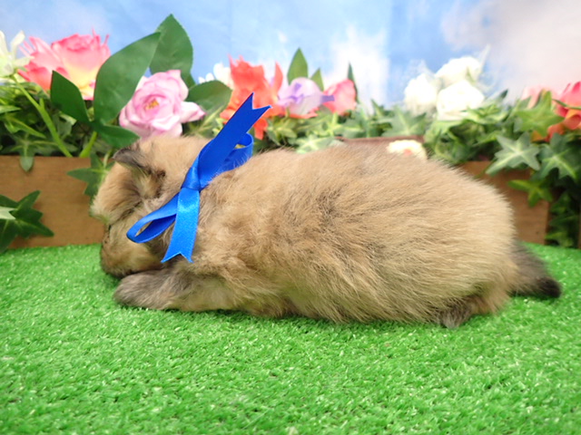 赤ちゃん写真2-2
