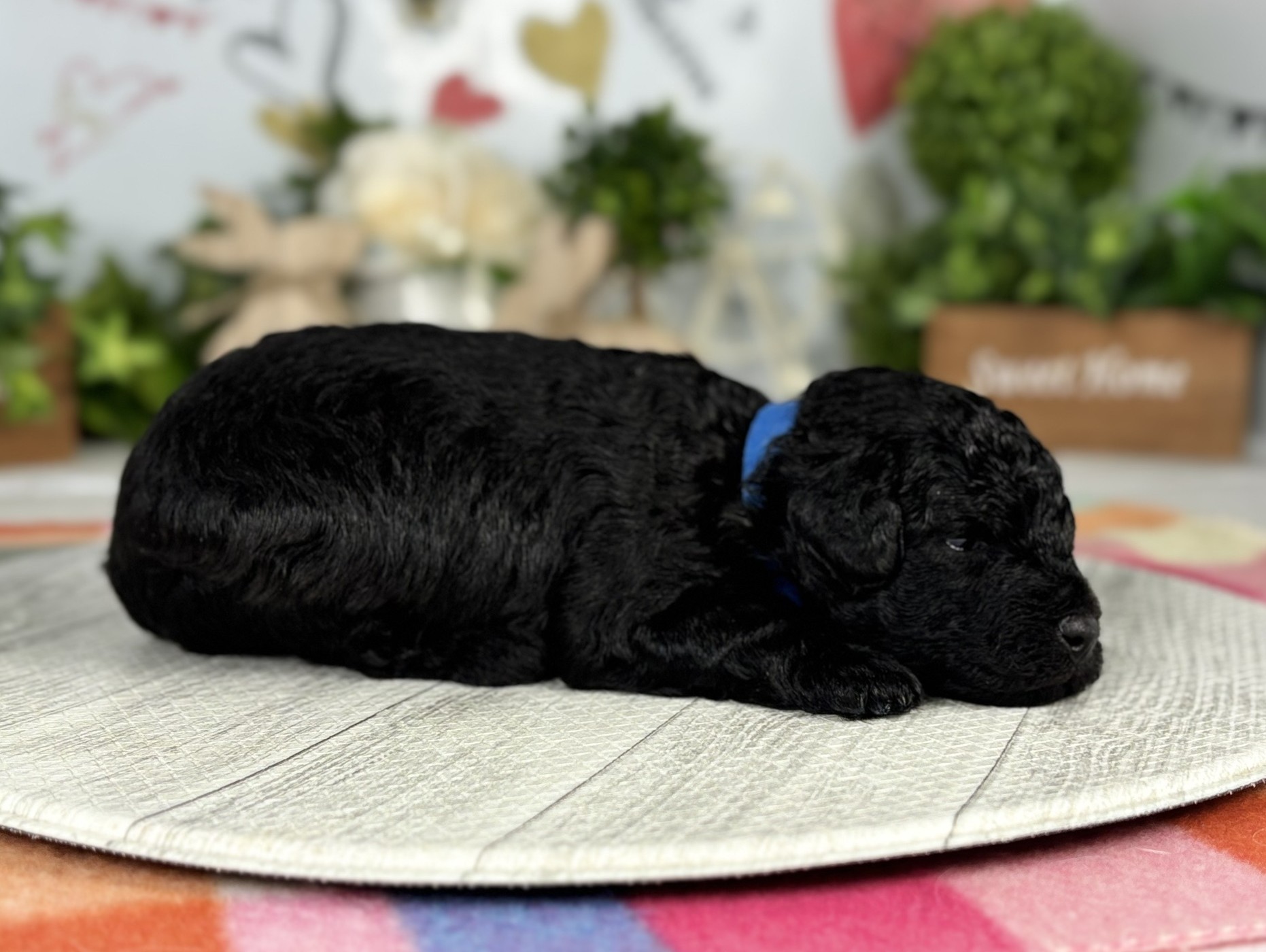 赤ちゃん写真1-2