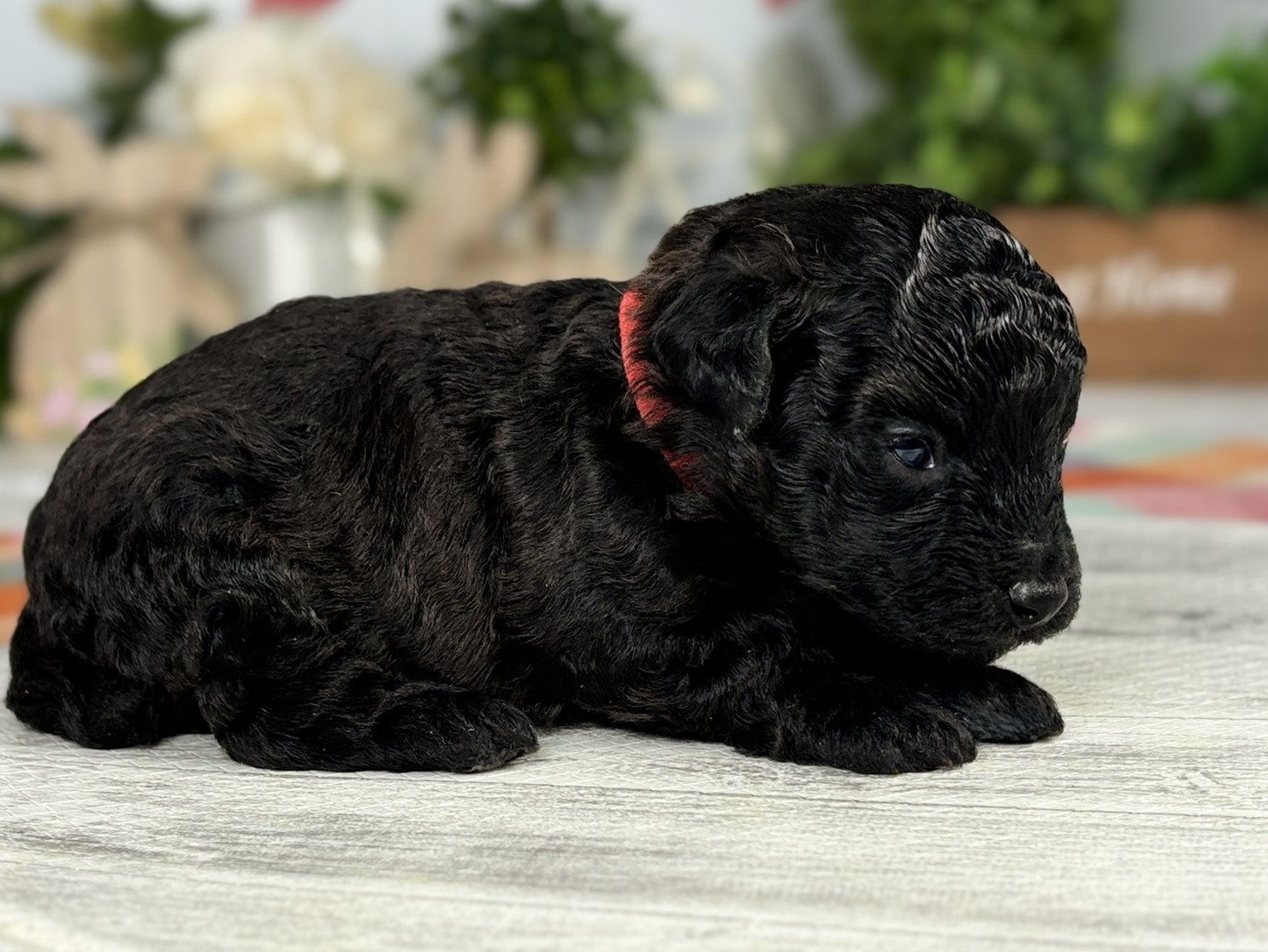 赤ちゃん写真1-2