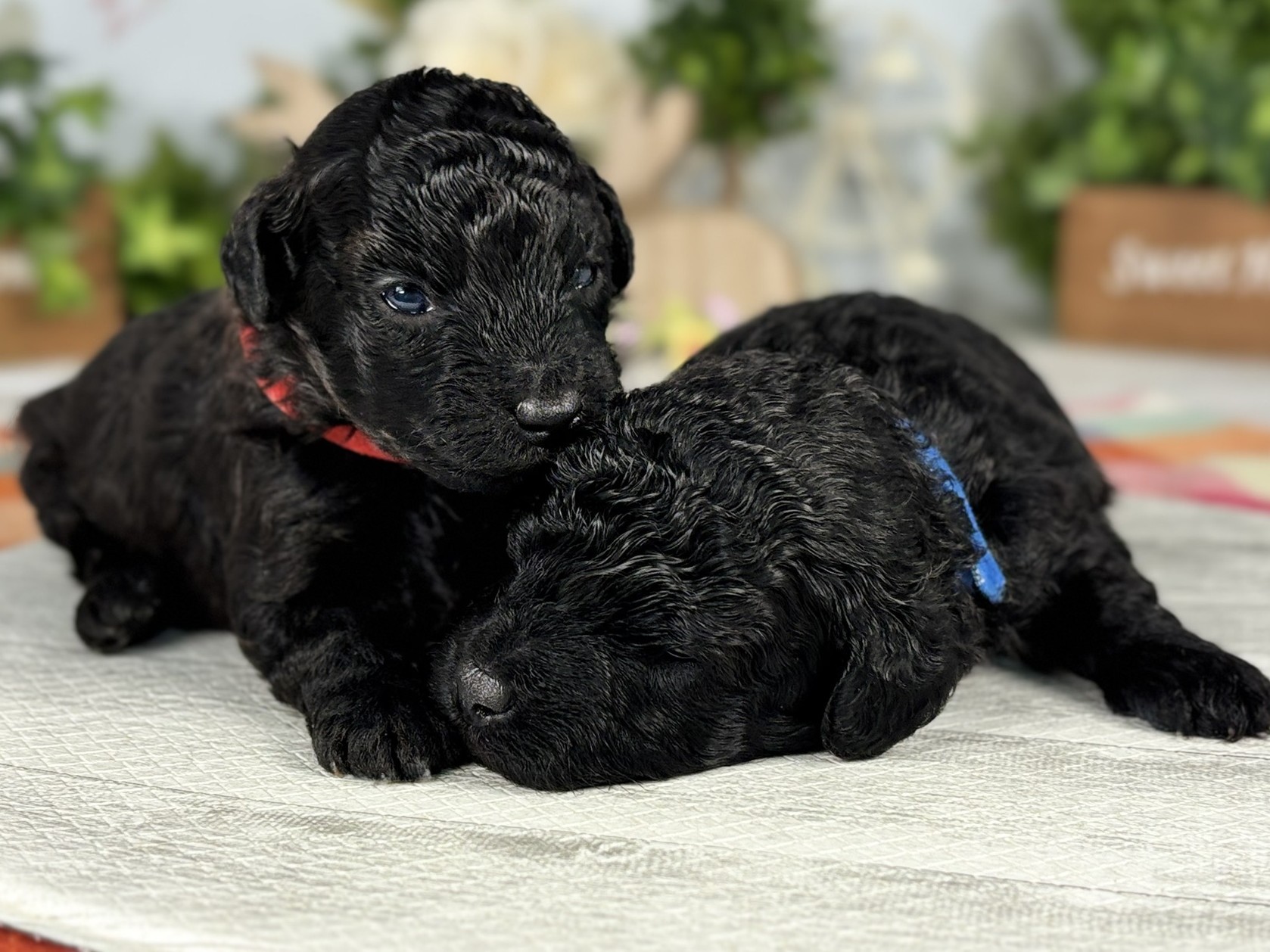 赤ちゃん写真1-3