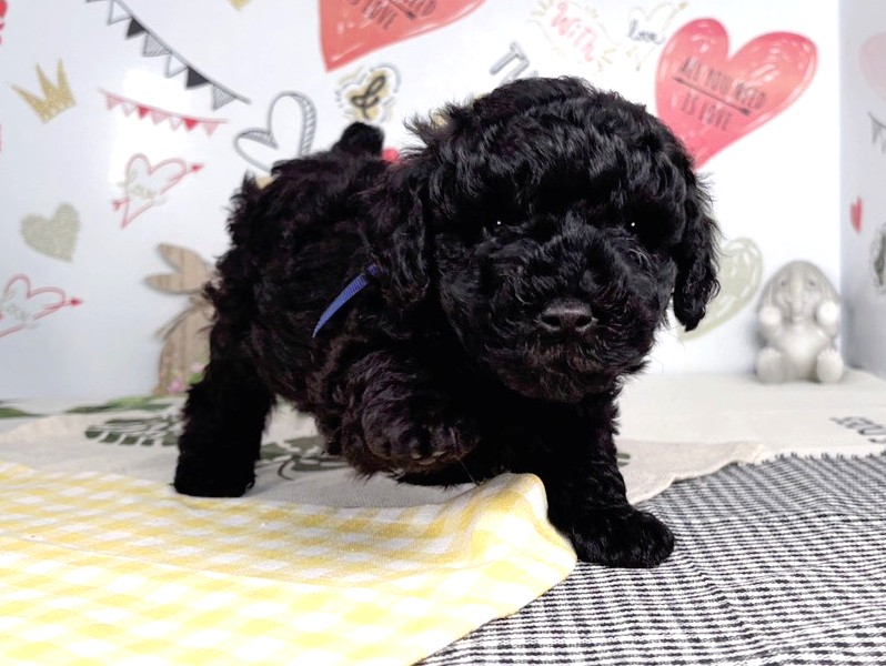 赤ちゃん写真2-1