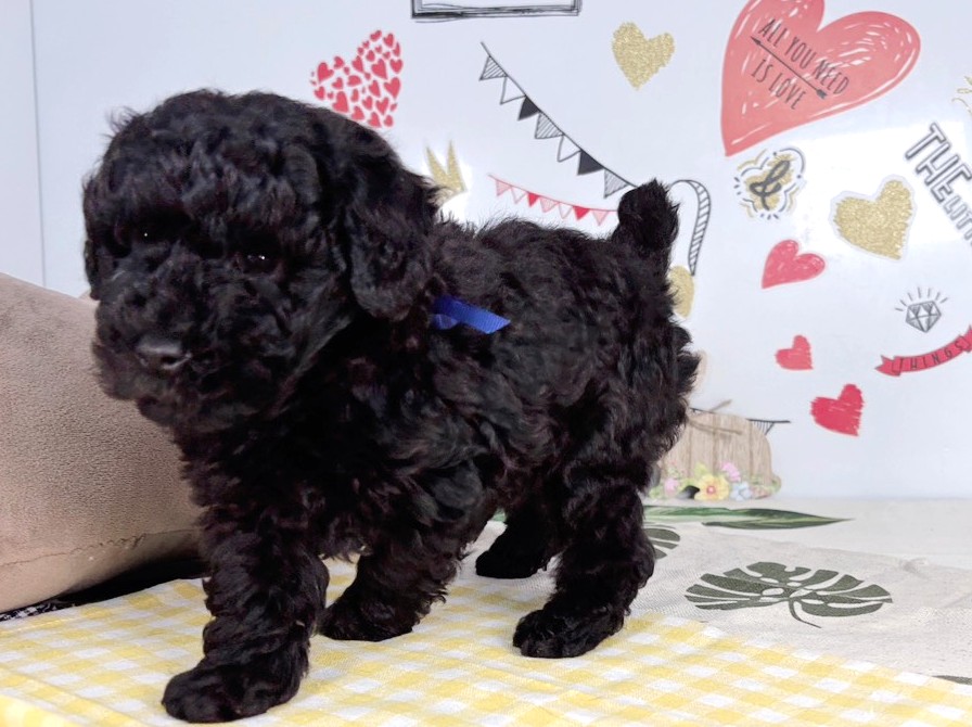 赤ちゃん写真2-2