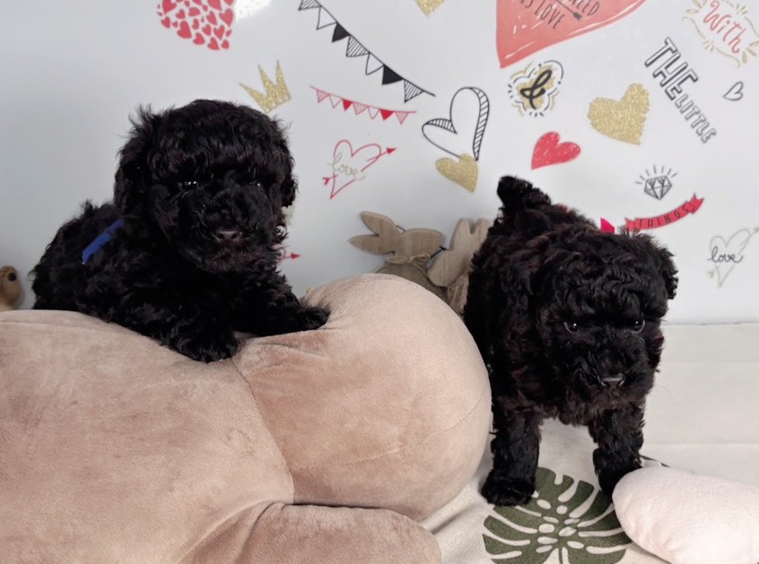 赤ちゃん写真2-3