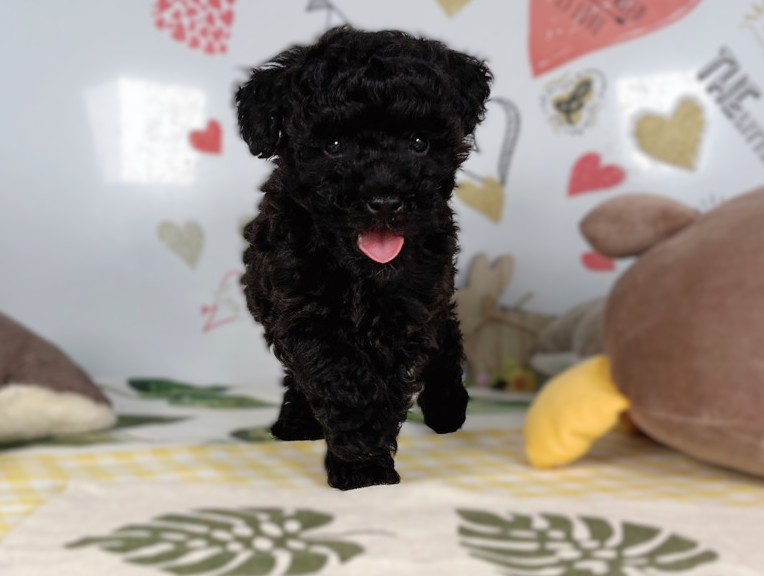 赤ちゃん写真2-1