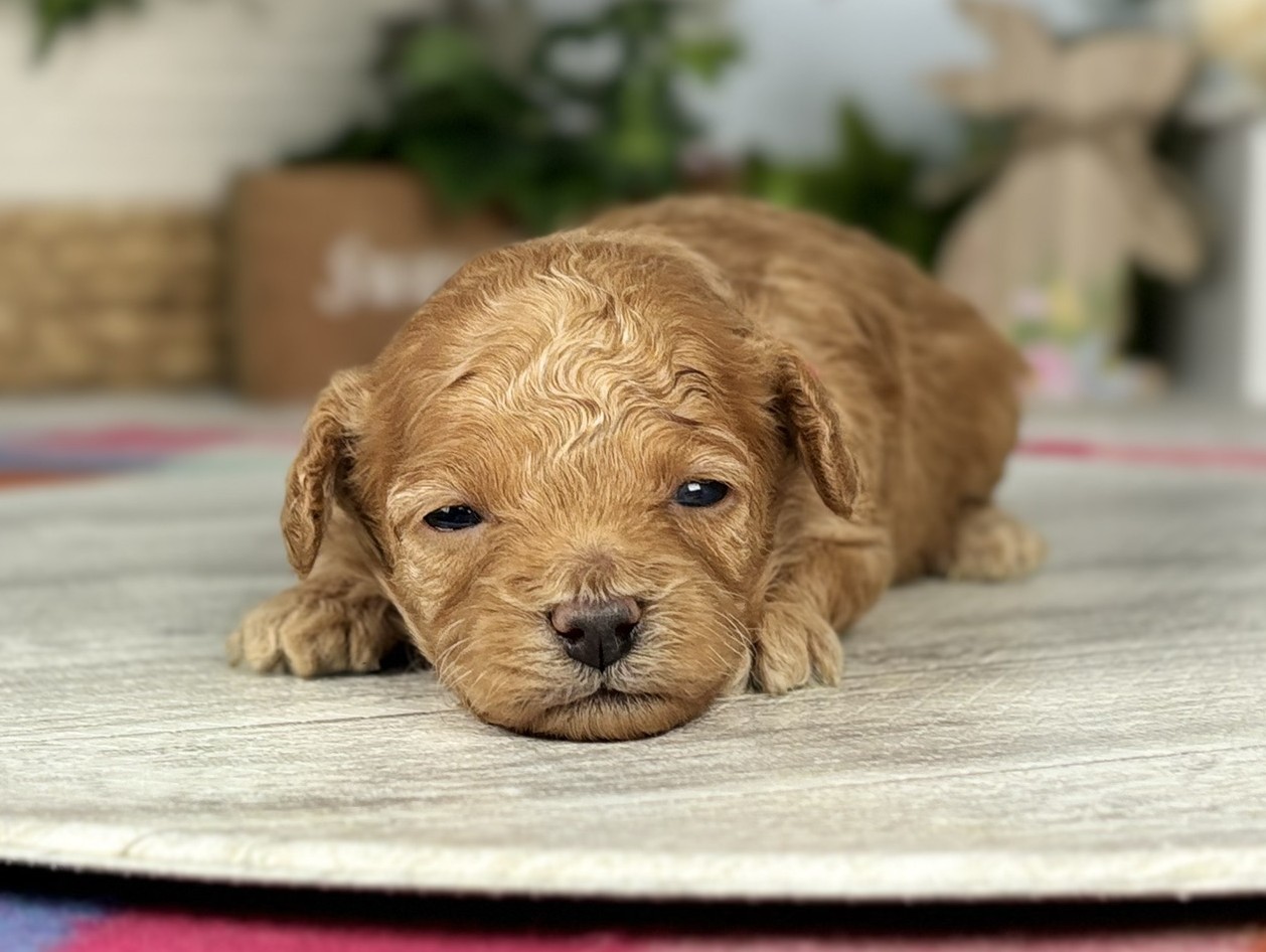 赤ちゃん写真1-1