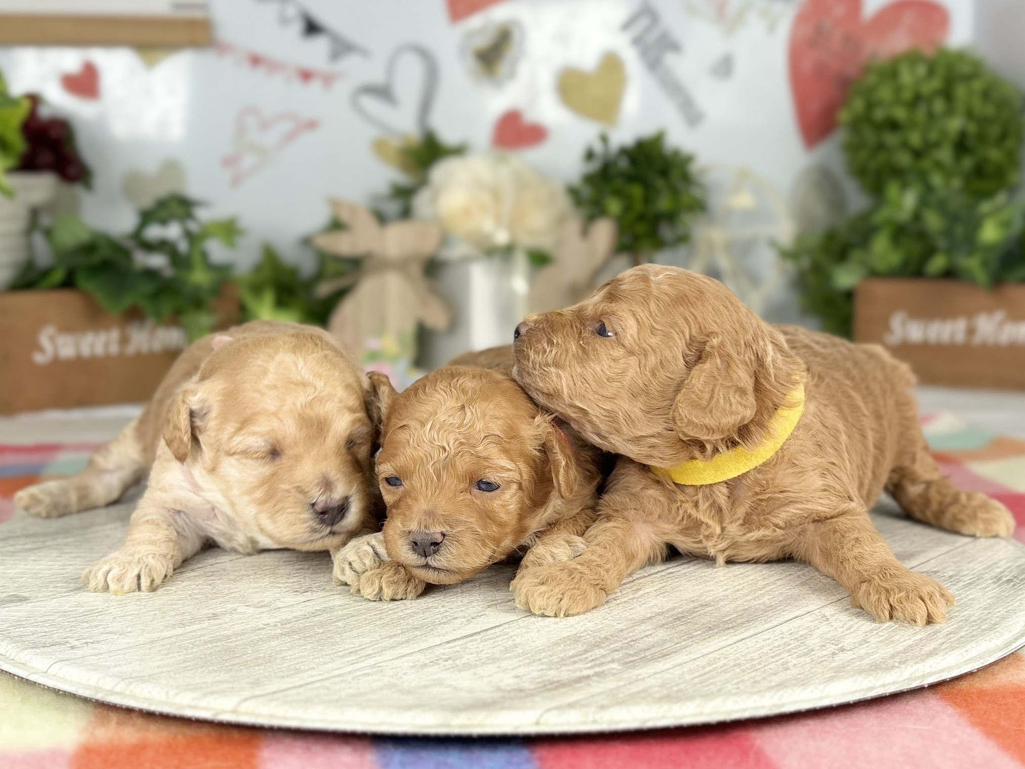 赤ちゃん写真1-3