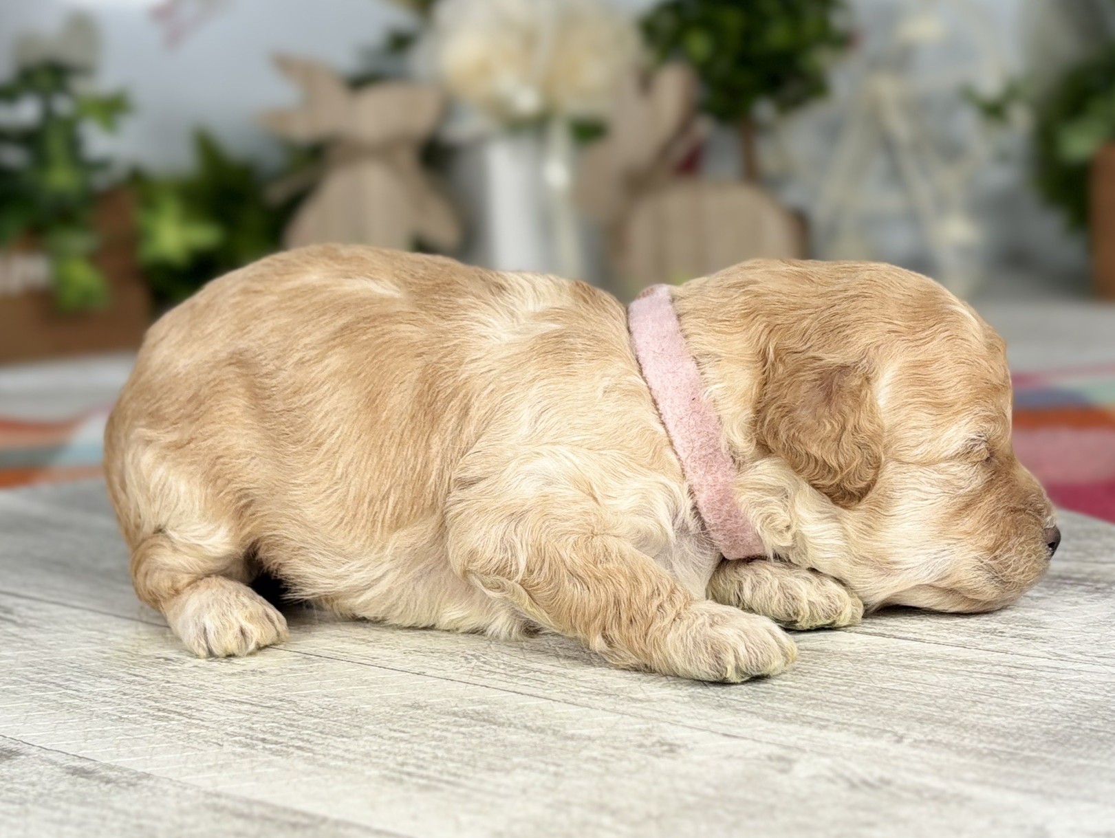 赤ちゃん写真1-2