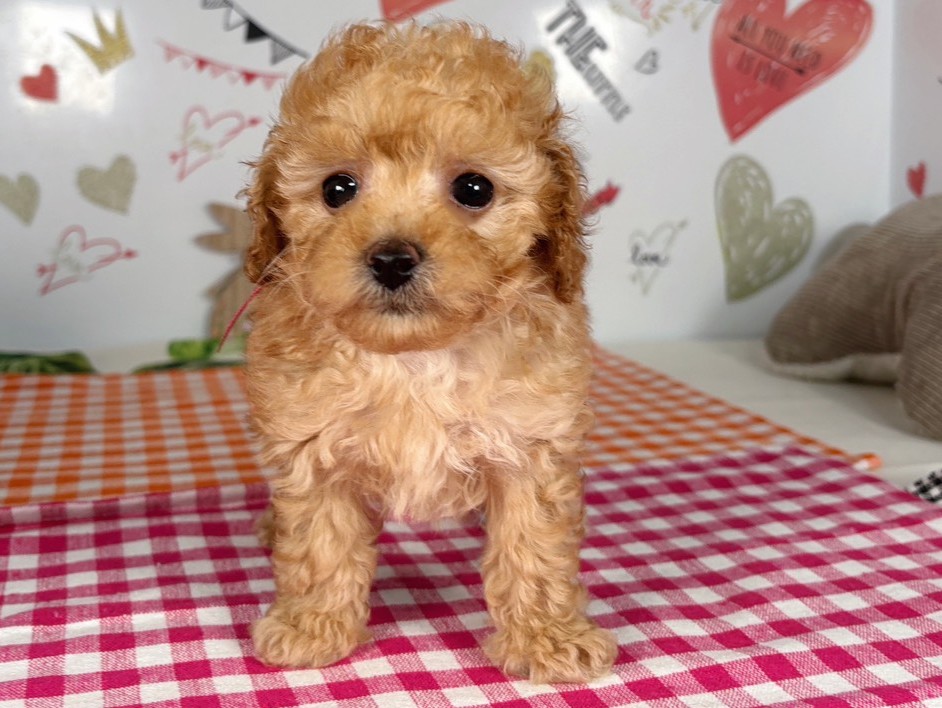 赤ちゃん写真2-1