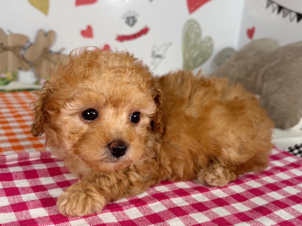 赤ちゃん写真2-2